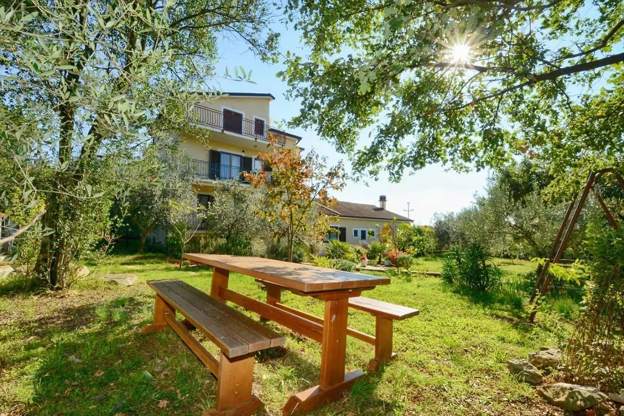 Valizza Apartments With Pool Albina בית הארחה